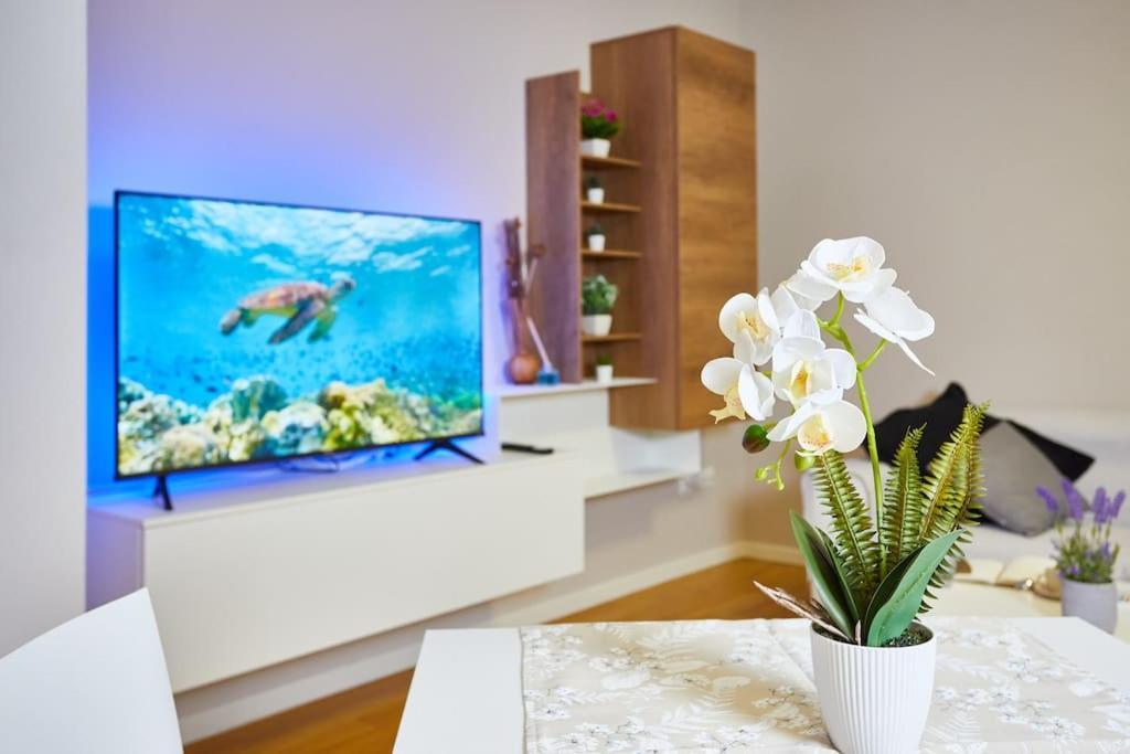 Center Aviano Comfort Suite Free Parking Wifi מראה חיצוני תמונה